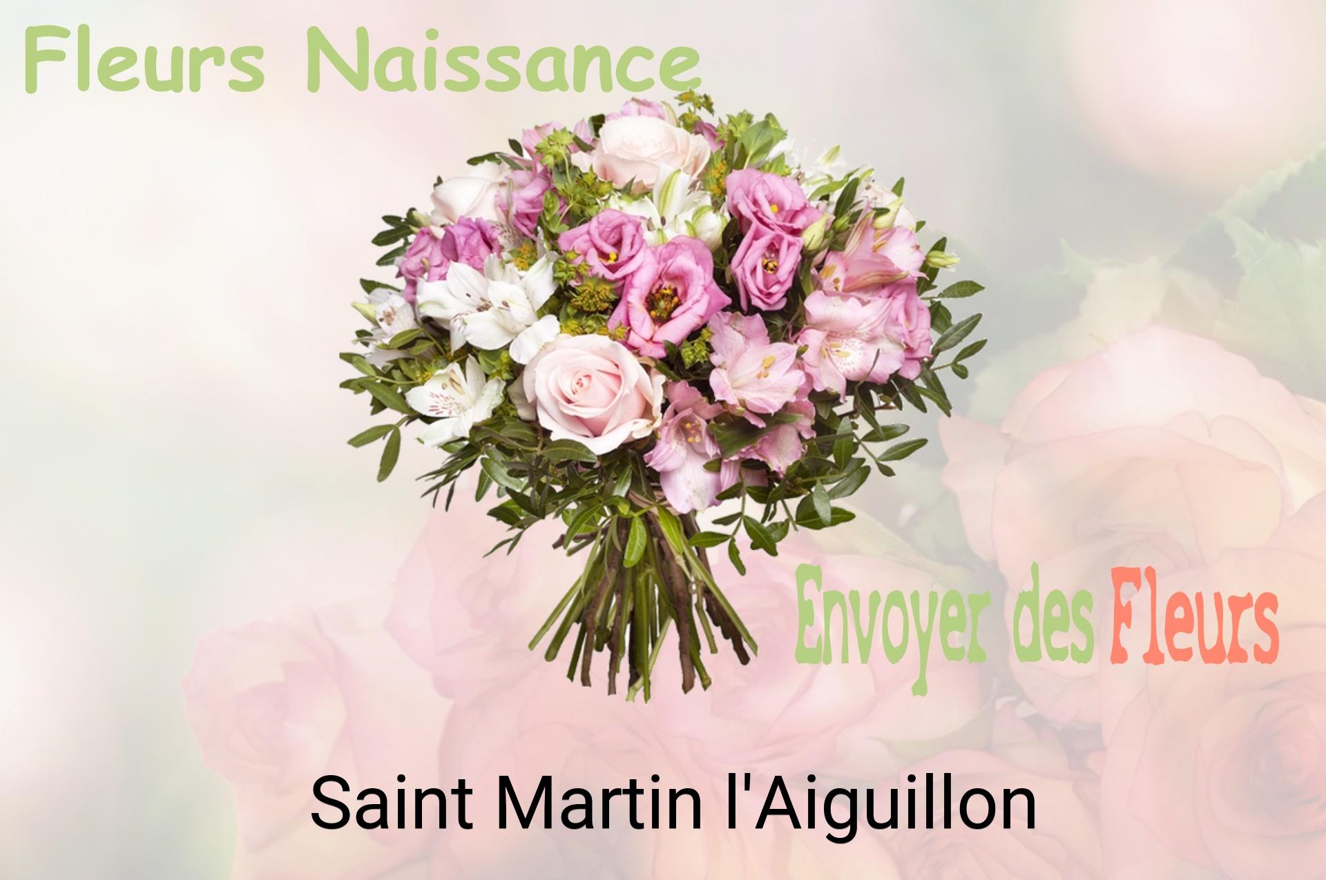 Bouquet de fleurs de naissance livré à Saint-Martin-l'Aiguillon